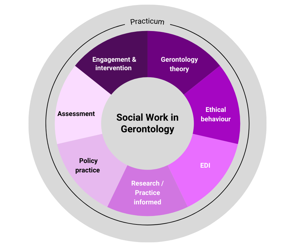 Social Work in Gerontology competencies: Engagement and intervention, gerontology theory, ethical behaviour, EDI, Research/Practice inform, Policy practice, assessment.