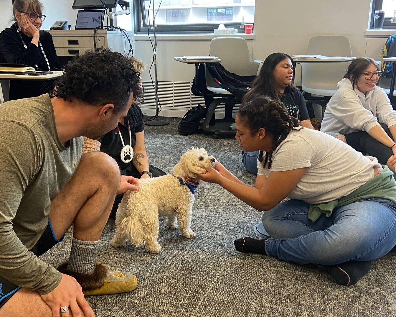 Therapy Dogs visit ITR students at FIFSW